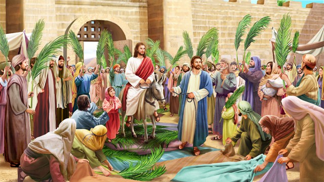THE BIG DEAL ABOUT PALM SUNDAY - Fr. Chinaka's Media